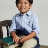 Polo Bear Cotton Oxford Shirt
